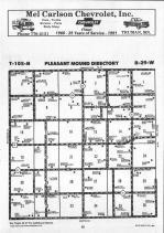 Pleasant Mound T105N-R29W, Blue Earth County 1991